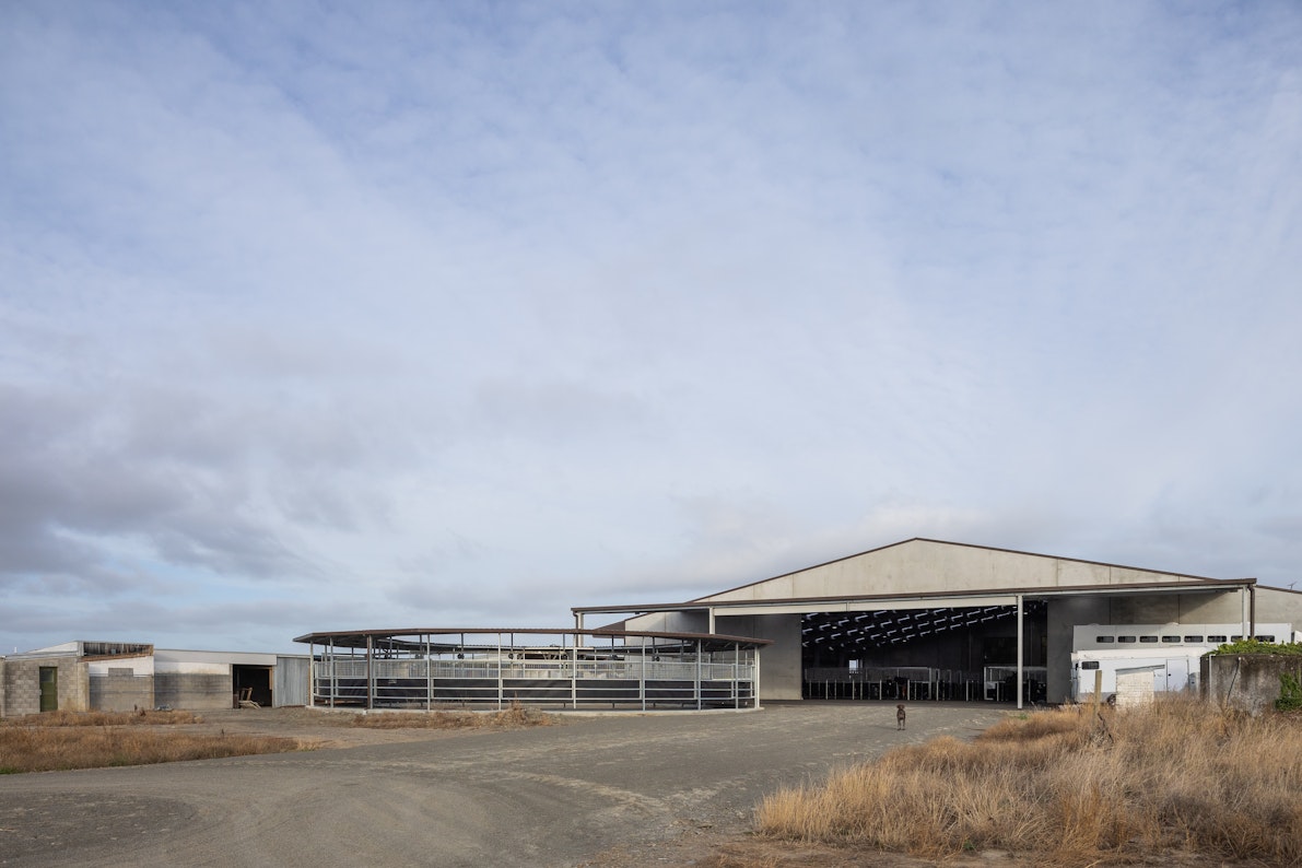 Best commercial design-build project for horse stables construction with concrete buildings and automated steel horse exerciser